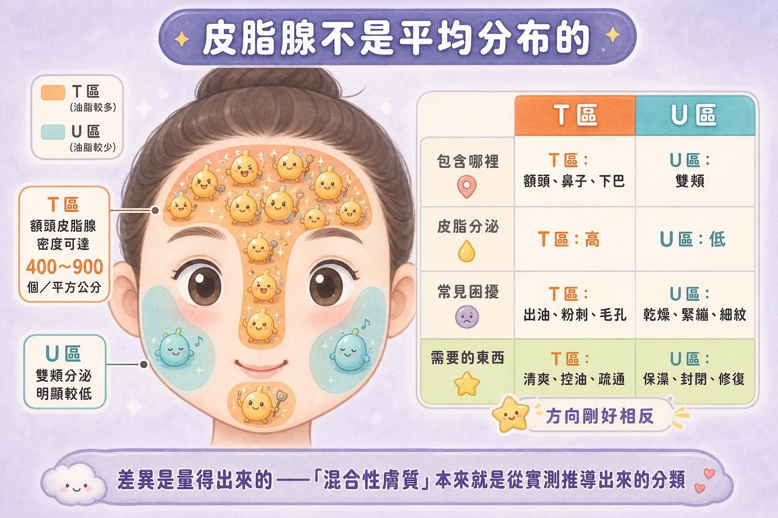 T區與U區的皮脂腺密度與需求對照