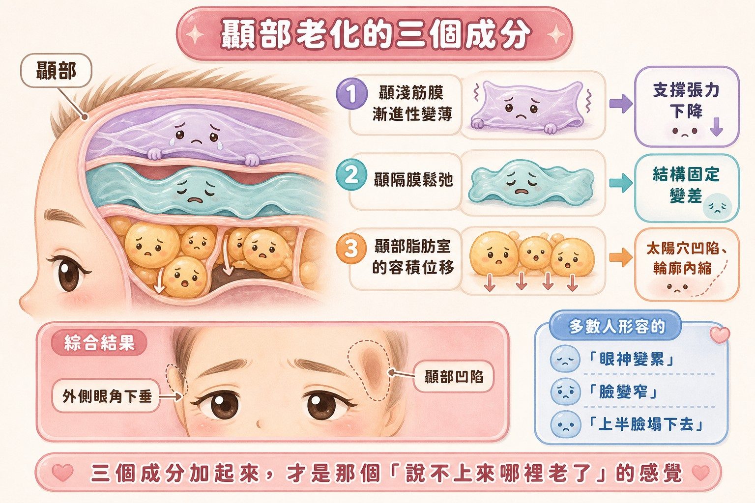 顳部老化的三個成分:筋膜變薄、隔膜鬆弛、脂肪室位移