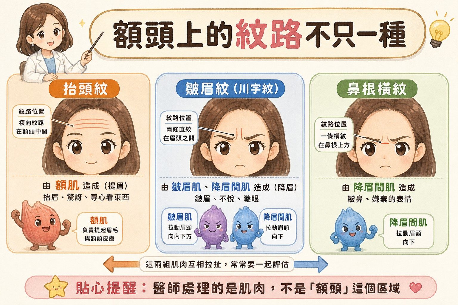 額頭三種紋路對照:抬頭紋、皺眉紋、鼻根橫紋各由不同肌肉造成