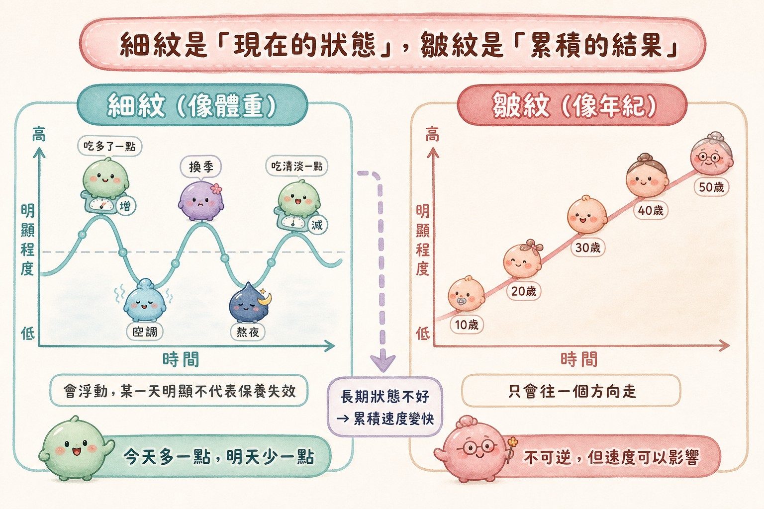 細紋像體重會浮動、皺紋像年紀只會往上的對照圖