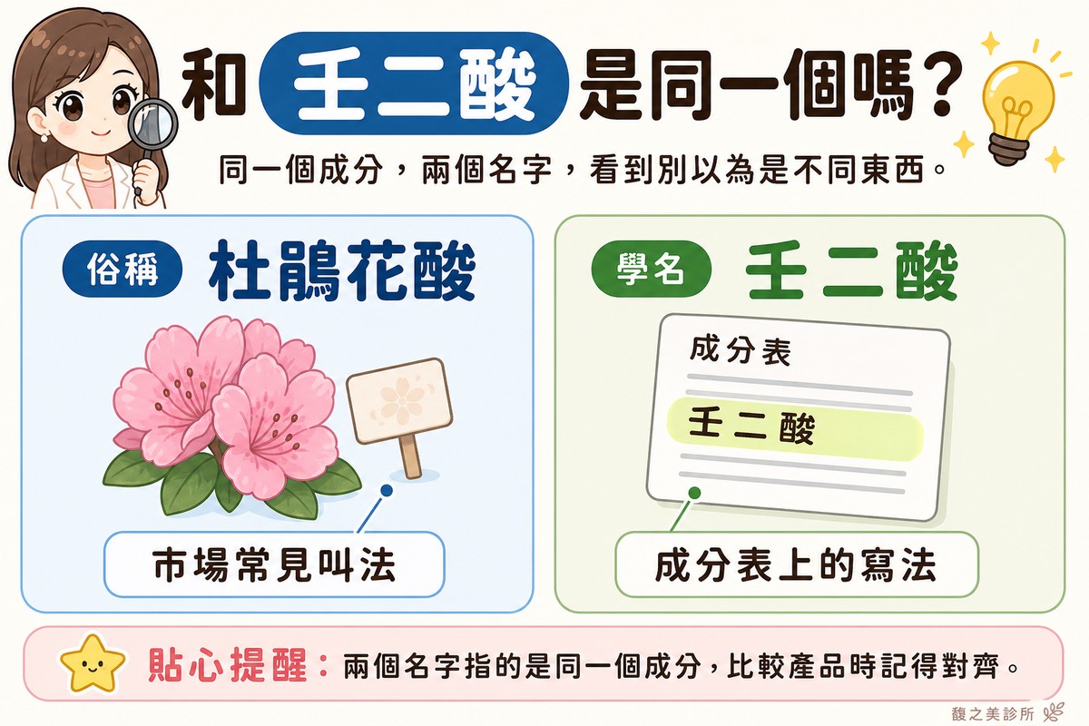 衛教資訊圖，頂端標題寫「和壬二酸是同一個嗎？」。左卡標「俗稱·杜鵑花酸」，畫一朵圓潤杜鵑花，旁邊一張小名牌，標註「市場常見叫法」；右卡標「學名·壬二酸」，畫成分表卡片，其中一行被螢光筆標亮，標註「成分表上的寫法」。