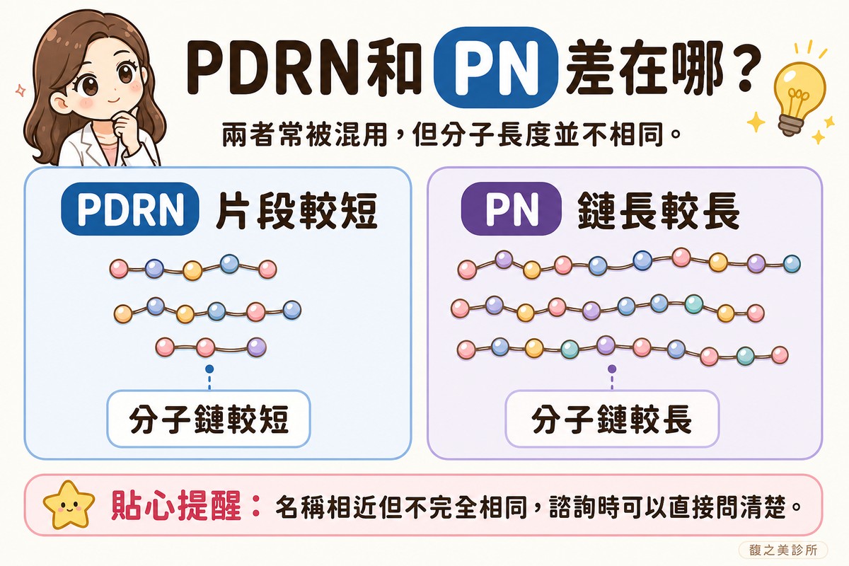 衛教資訊圖，頂端標題寫「PDRN和PN差在哪？」。左卡標「PDRN·片段較短」，畫幾段短鏈分子圖案，長度較短且排列整齊，標註「分子鏈較短」；右卡標「PN·鏈長較長」，畫幾段長鏈分子圖案，明顯比左邊長，標註「分子鏈較長」。